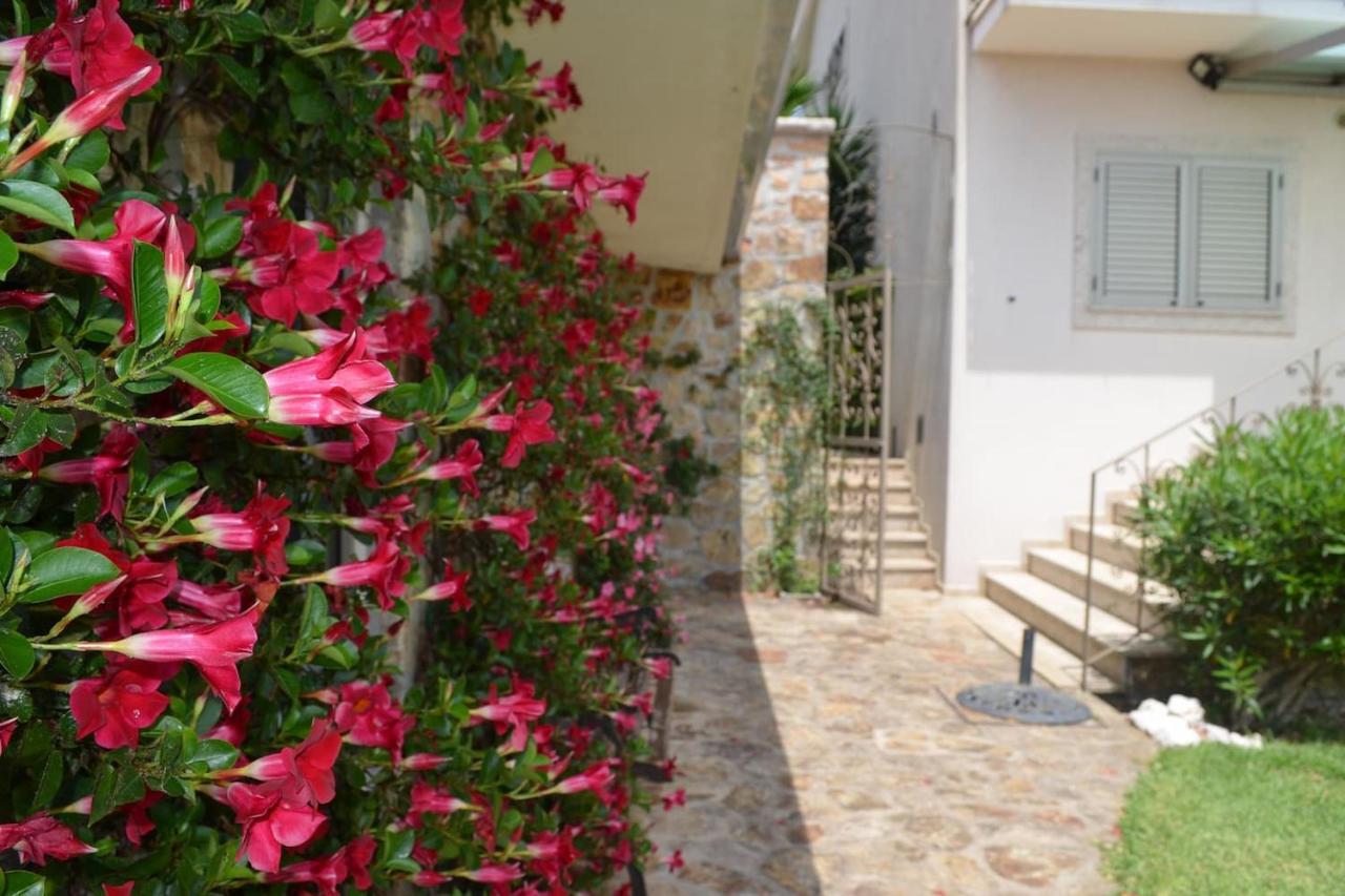 Valadas Holiday home Canedo (Aveiro)